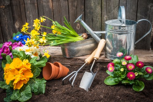 Person using screen reader while browsing garden services