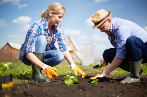 A woman and a man are gardening in a backyard, planting young green seedlings into prepared, dark soil. The woman, dressed in a blue checked shirt and jeans, is kneeling on the grass with orange gardening gloves, carefully placing a seedling into the ground. The man, wearing a light blue shirt, dark trousers, a straw hat, and green rubber boots, is also kneeling and using gardening tools to assist with planting. The garden area features a mown grassy lawn with a defined section for planting, bordered by a low hedge or boundary, and a clear, partly cloudy sky overhead, indicating a pleasant day. In the background, there are residential buildings with brick facades, suggesting a suburban setting. The scene exemplifies outdoor gardening activities commonly undertaken by gardening services in Acton, with professional attention to planting detail and garden development, highlighting the natural tones of soil, plants, and outdoor environment.